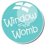 Window To The Womb logo